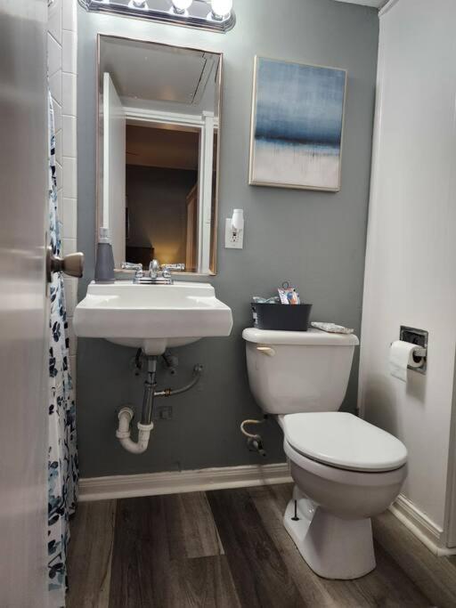 Blue Shark *W7* @ Montrose 1Br Private King Loft Apartment Houston Exterior foto